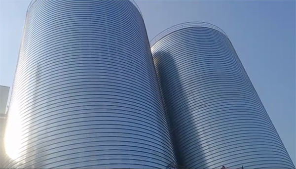 涪城2座混凝土高架卷板仓